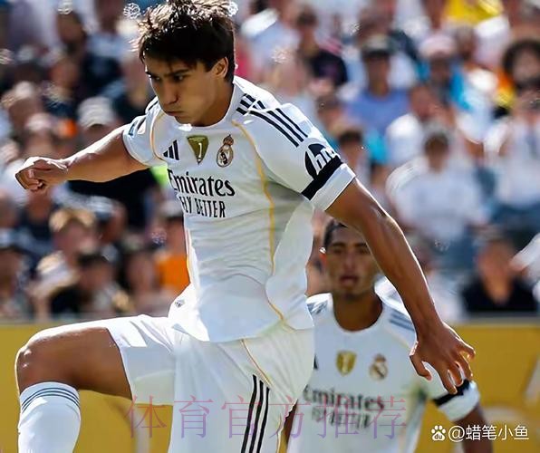 科贝:球迷没要求解雇阿隆索 皇马需要苏维门迪 科贝:球迷没要求解雇阿隆索 皇马需要苏维门迪